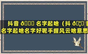 抖音 🐝 名字起啥（抖 🦊 音名字起啥名字好呢手握风云啥意思）